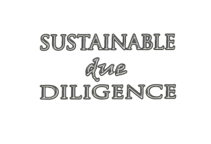 Sustainable Due Diligence